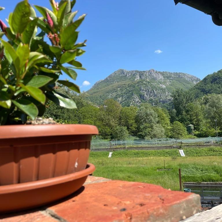 Le Macine Villa Magnano  Eksteriør bilde